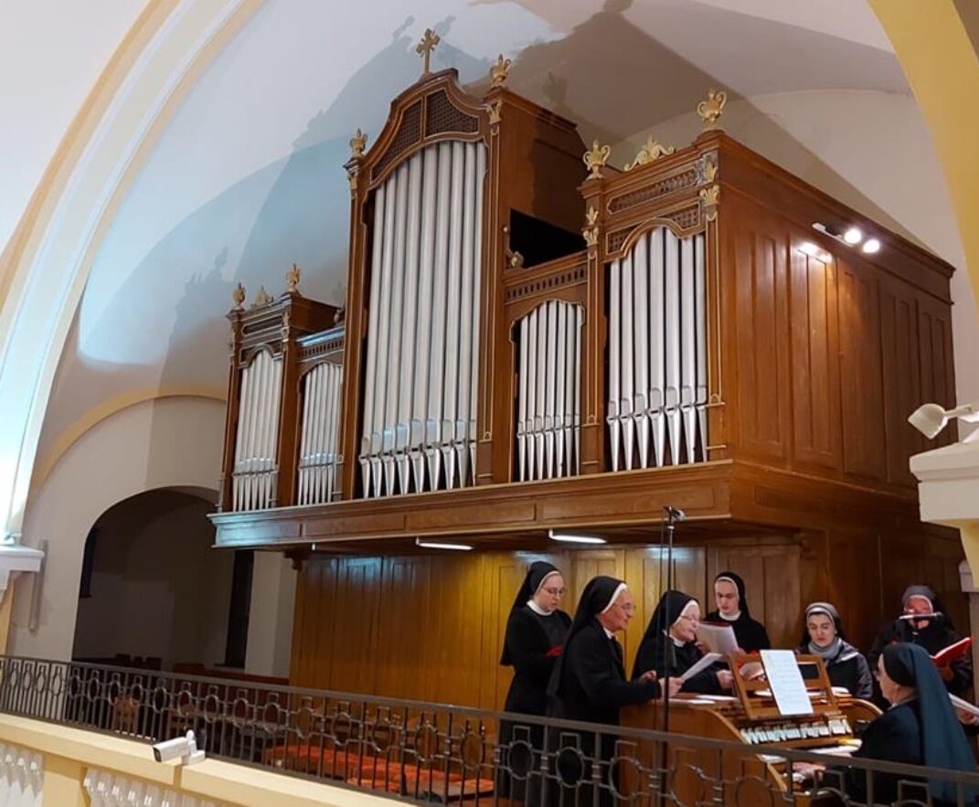 Koncert povodom kolaudacije restauriranih orgulja