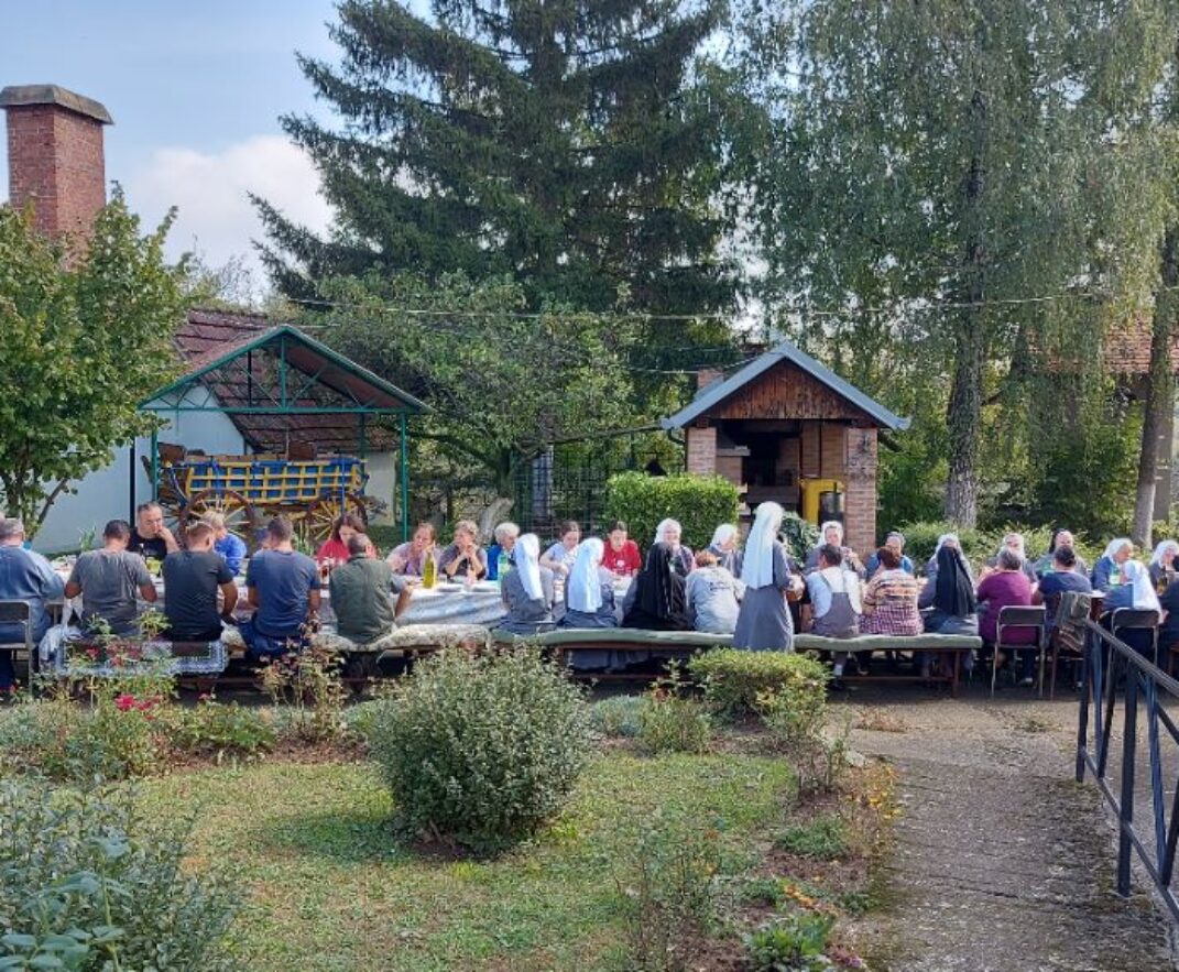 Berba grožđa 2023. godine