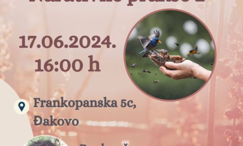 Primjeri iz narativne prakse 2