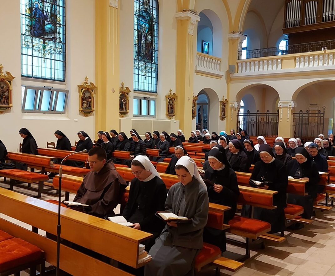 Održan susret medicinskih sestara redovnica različitih družbi