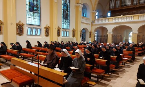 Održan susret medicinskih sestara redovnica različitih družbi