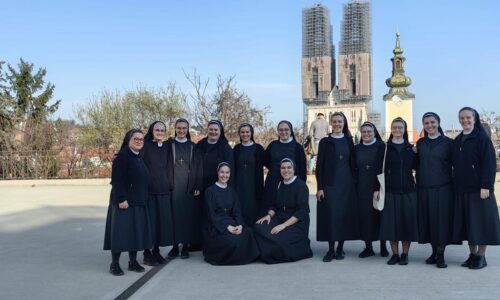 Franjevački pogled na život u čistoći