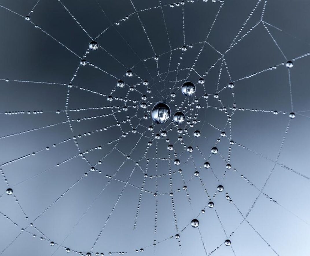 20. 02. 2026. – Tema: Iz 58, 1-9a; Praštanje