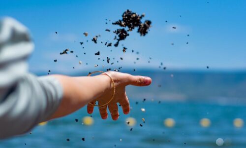 10. 03. 2026. – Tema: Opraštanje