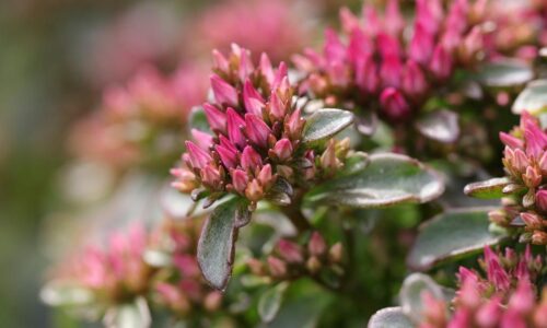 23. 03. 2026. – Iv 8, 1-11 – Isusove osobine