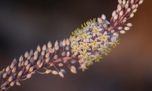 11. 03. 2026. – Tema: Mt 5,17-19; Ispunjenje Zakona