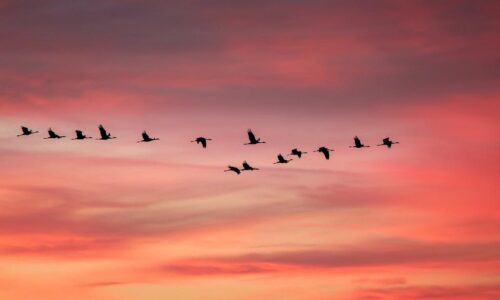 21. 03. 2026. – Iv 7,40-53 Nitko nikada nije ovako govorio