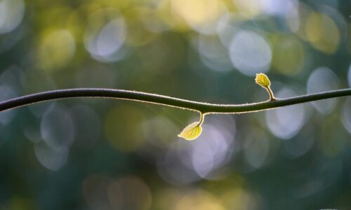 18.03.2026. – Tema: Budi tu danas