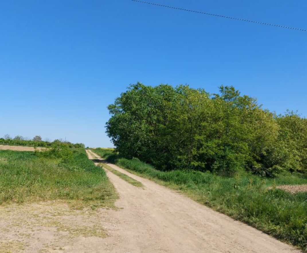 NEDJELJOM U 16:30 Bog se ne nameće, On želi da ga tražimo