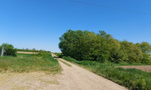 NEDJELJOM U 16:30 Bog se ne nameće, On želi da ga tražimo